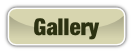 Gallery.